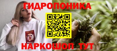 ГАЛЛЮЦИНОГЕННЫЕ ГРИБЫ Апшеронск