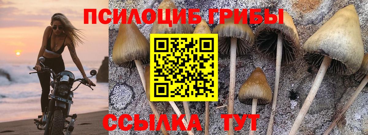 Балаково  дарнет шоп  Псилоцибиновые грибы GOLDEN TEACHER  Вход с VPN  Псилоцибиновые грибы MAGIC MUSHROOMS 